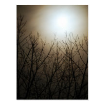 Illuminated Moon Postcard