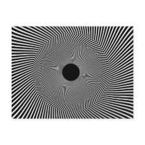 illusion-2 post card