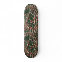 Illusion Of A Tree Fractal Skateboard