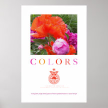 Illusive Garden Poster: Colours