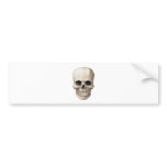 Illustration of a human skull bumper sticker