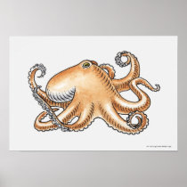 Illustration of an octopus poster