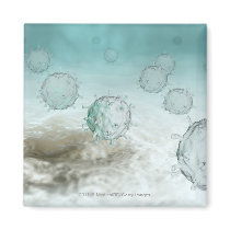 Illustration of avian flu cells magnets