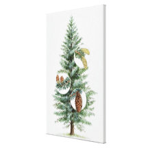 Illustration of coniferous tree with cones 2 stretched canvas print