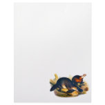 illustration of the australian mammal Platypus letterhead