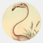 Illustration rose vintage de flamant adhésifs