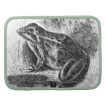 Illustration vintage de grenouille agenda