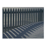 Illustrative Fence and shadow Postcard