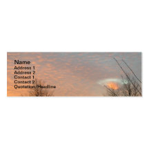 Ils sont ici ! ! ! cartes de visite professionnelles