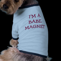I'M A BABE MAGNET -Dog Apparel pet clothing