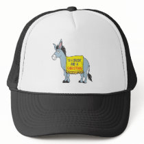 I'm a Democrat and a Christian Trucker Hat
