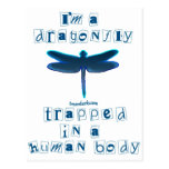 I'm a Dragonfly Post Card