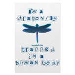 I'm a Dragonfly stationery