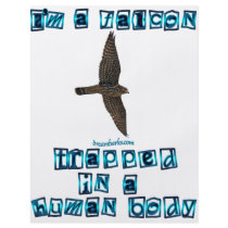 I'm a Falcon