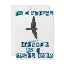 I'm a Falcon