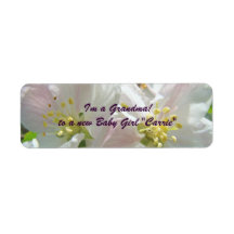 I'm a Grandma! Labels Letters Cards Apple Blossoms