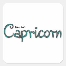 I'm A Hot Capricorn Square Stickers