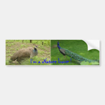 I'm a Nature Lover ! bumper sticker
