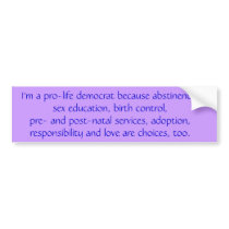 I'm a pro-life democrat because abstinence, sex... bumper sticker