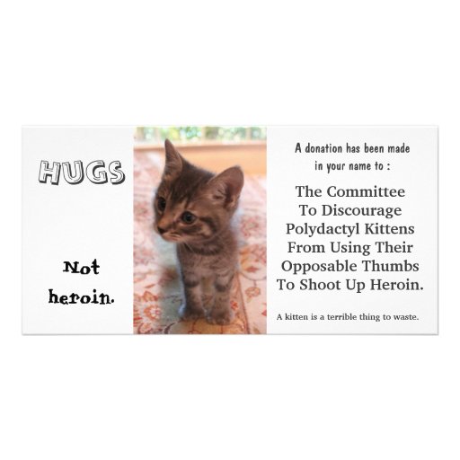 I'm against kittens on heroin custom photo card