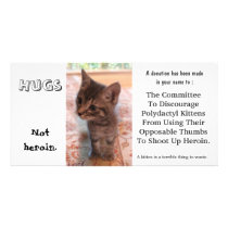 I'm against kittens on heroin custom photo card