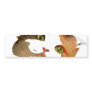I'm All Ears: Calico Cat Portrait Bumper Sticker