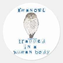I'm an Owl Sticker