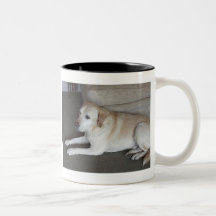 I'm BaileyThe PhilosopherI'm ... Mugs