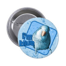 I'm Blue Quaker Parakeet Button