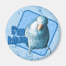 I'm Blue Quaker Parakeet Magnet