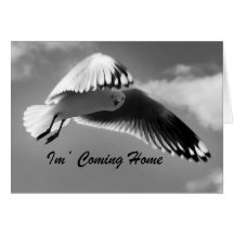 I'm coming home - gull bird card