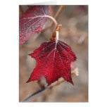 I'm falling for you greeting cards