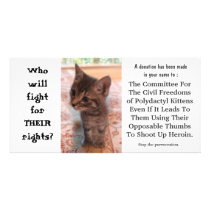 I'm FOR kittens on heroin Picture Card