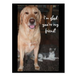 I'm Glad You're My Friend! Post Cards