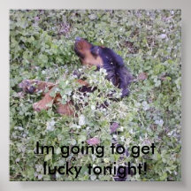 Im going to get lucky tonight! poster