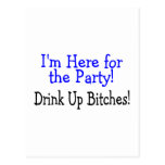 Im Here For The Party Drink Up Bitches Post Cards