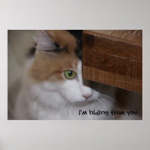 I'm hiding from you posters