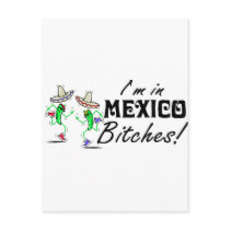 Im In Mexico Bitches! Post Card