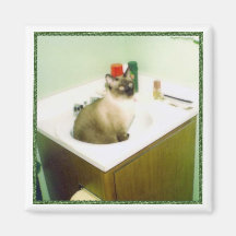 I'M IN THE BATHROOM FIRST! FRIDGE MAGNET