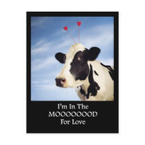 I'm In The Mooood For Love