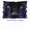 "I'M JUST A PUSSY CAT" Black Jaguar Tops & Tees t-shirts