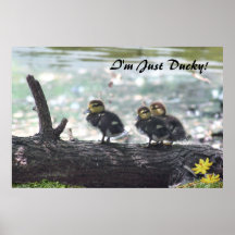 I'm Just Ducky! Poster