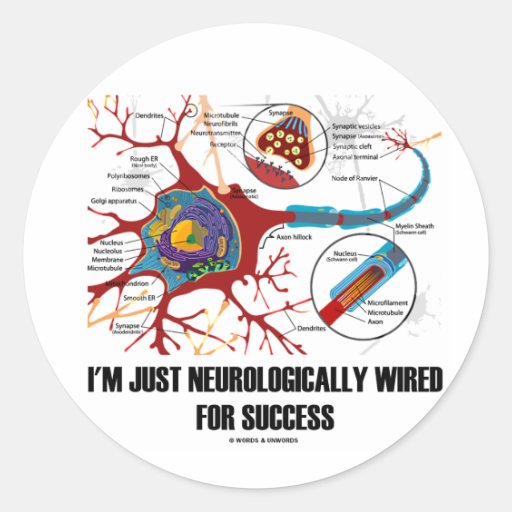 I'm Just Neurologically Wired For Success Round Sticker