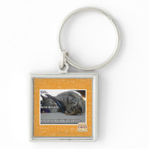 I'm listening key chain
