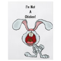 I'm Not A Chicken! flyers