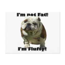 I'm not fat Bulldog postcard