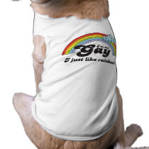 I'M NOT GAY. I JUST LIKE RAINBOWS.
