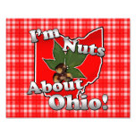 I'm Nuts About Ohio, Funny Red Buckeye Nut photography