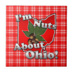 I'm Nuts About Ohio, Funny Red Buckeye Nut tiles