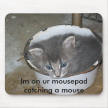 Im on ur mousepad-Cat